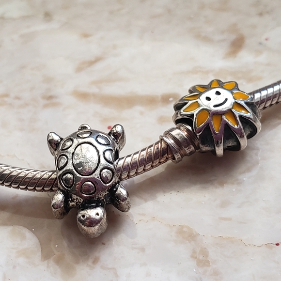 PANDORA Bracelet with Charms - Picture 15 of 16